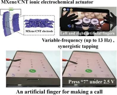 AFM：用于仿生软机器人应用的高性能 MXene/碳纳米管电化学致动器
