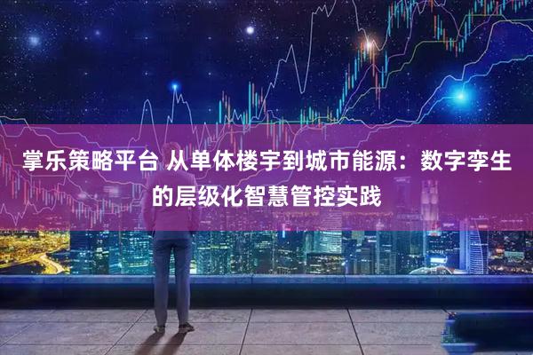 掌乐策略平台 从单体楼宇到城市能源：数字孪生的层级化智慧管控实践