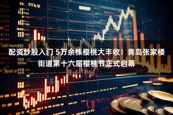 配资炒股入门 5万余株樱桃大丰收！青岛张家楼街道第十六届樱桃节正式启幕