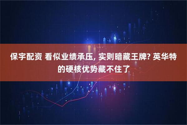 保宇配资 看似业绩承压, 实则暗藏王牌? 英华特的硬核优势藏不住了